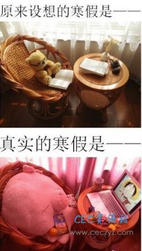 我的寒假