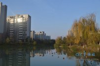 随手校园照