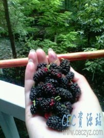 我的体育课成果