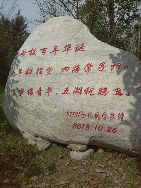 又是石头.jpeg
